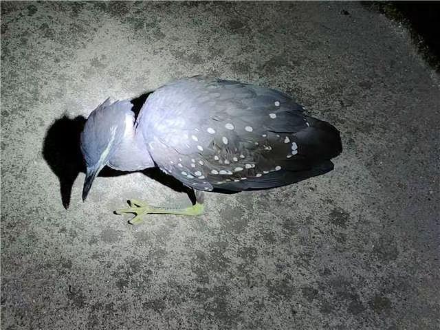 海南之旅，行吟海南风韵