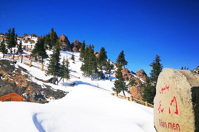 新疆,梦想起航之地,学习成就自信辉煌之路